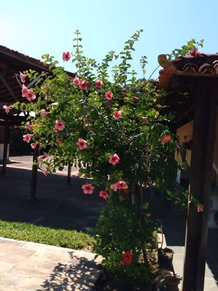 Fazenda, sítio ou chácara 3 quartos à venda em Santa Cruz, Rio de Janeiro - foto 18