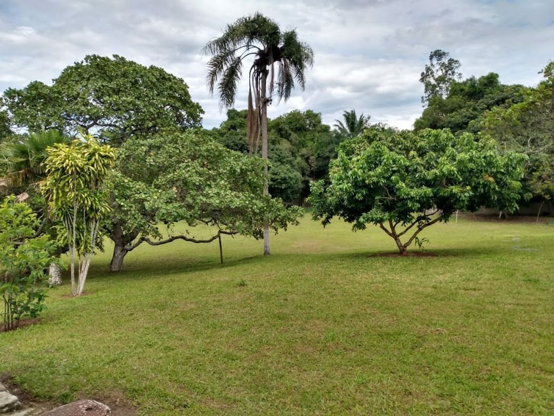 Fazenda, sítio ou chácara 3 quartos à venda em Santa Cruz, Rio de Janeiro - foto 3