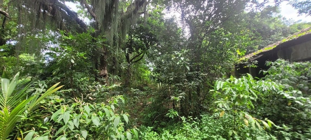 Terreno à venda em Guaratiba, Rio de Janeiro - foto 3