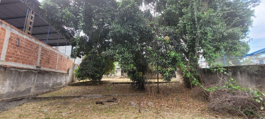 Casa para alugar em Campo Grande, Rio de Janeiro - foto 3