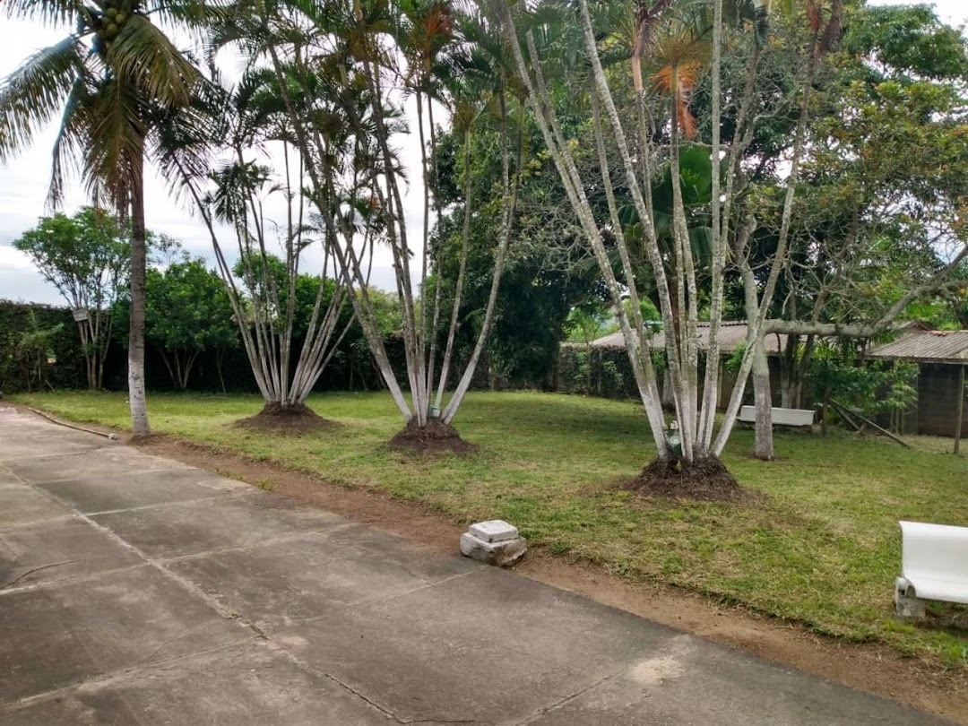 Fazenda, sítio ou chácara 3 quartos à venda em Santa Cruz, Rio de Janeiro - foto 31