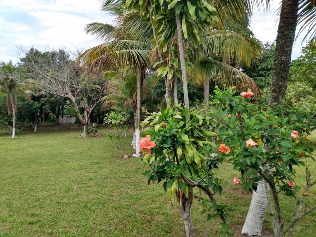 Fazenda, sítio ou chácara 3 quartos à venda em Santa Cruz, Rio de Janeiro - foto 32
