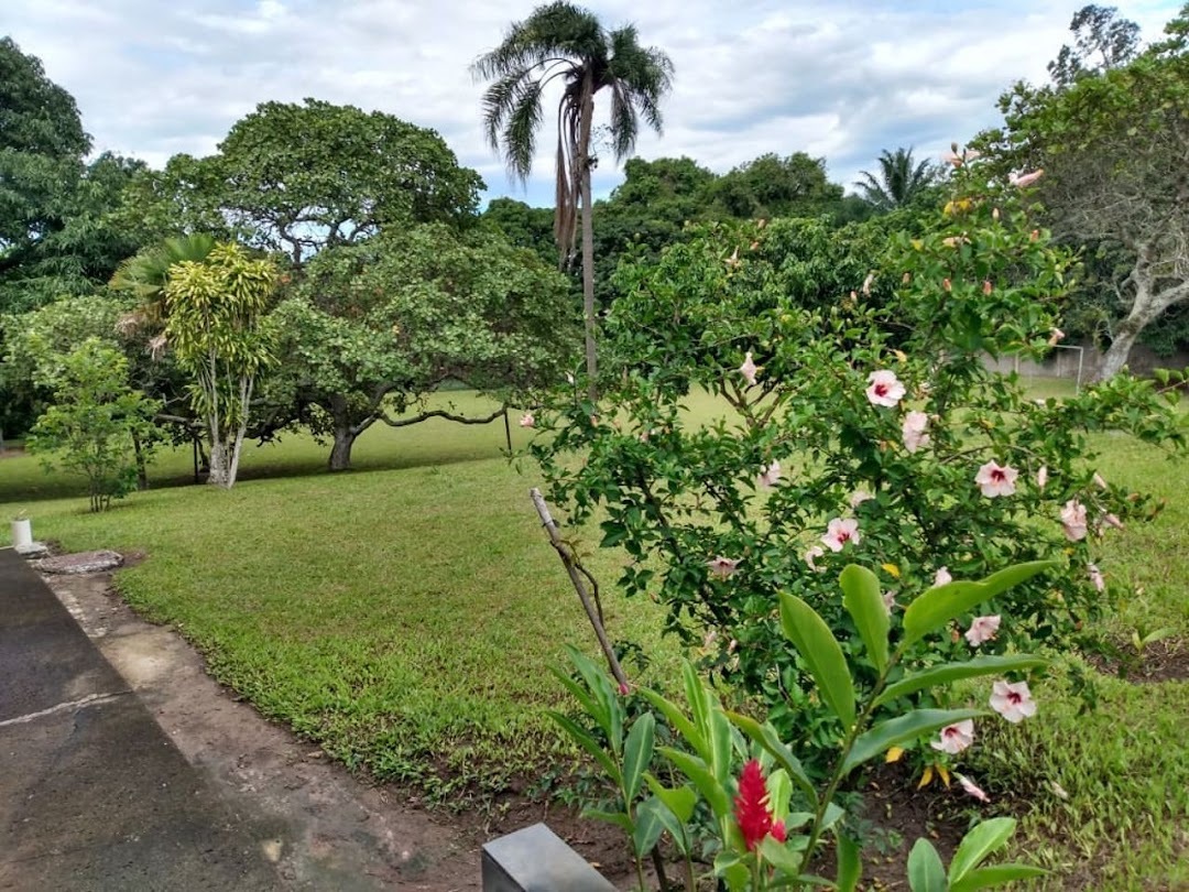Fazenda, sítio ou chácara 3 quartos à venda em Santa Cruz, Rio de Janeiro - foto 33
