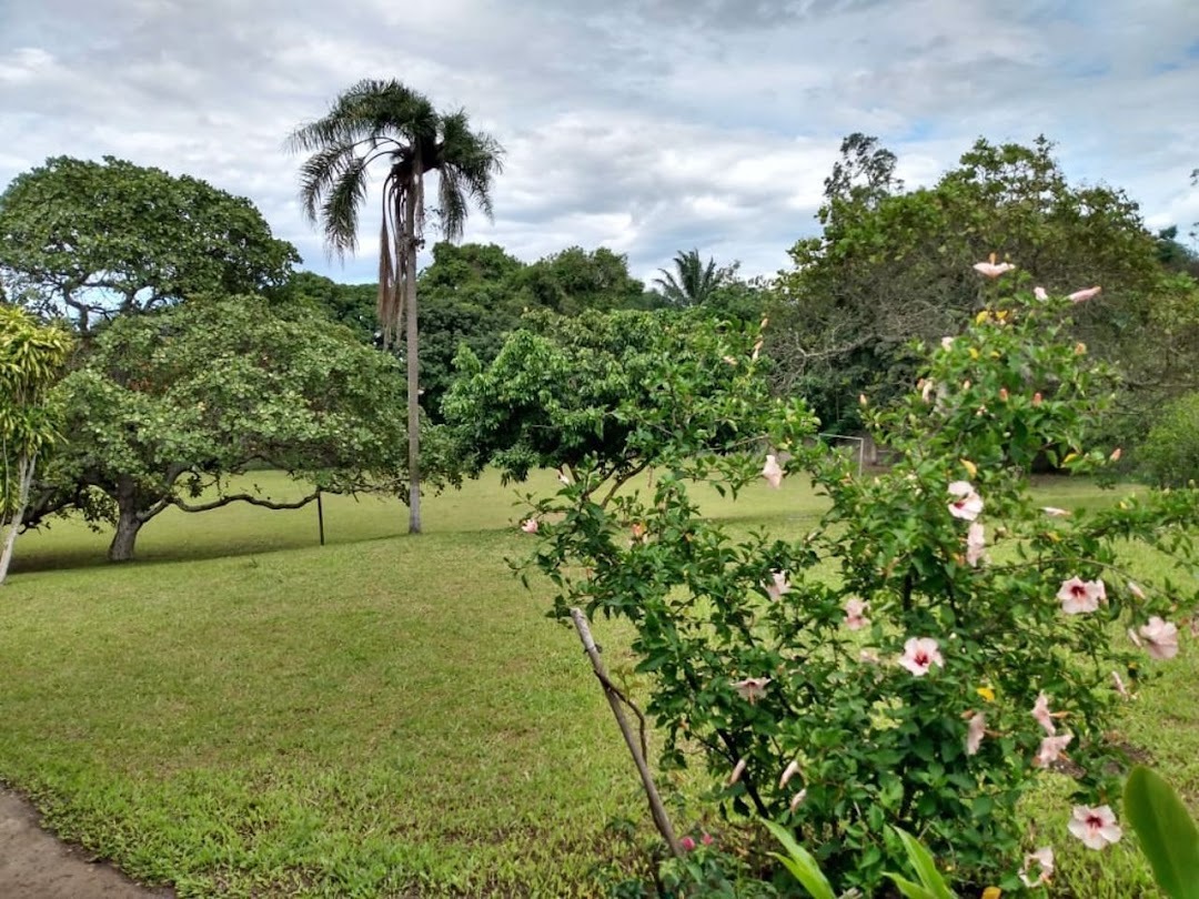 Fazenda, sítio ou chácara 3 quartos à venda em Santa Cruz, Rio de Janeiro - foto 35