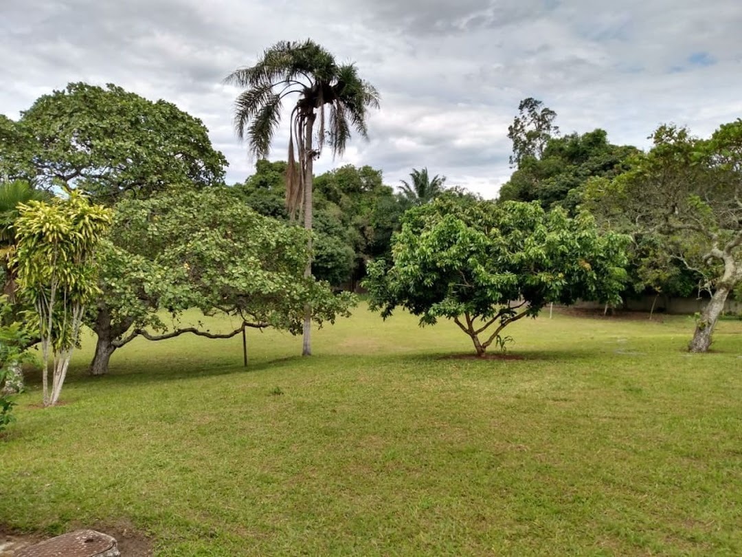 Fazenda, sítio ou chácara 3 quartos à venda em Santa Cruz, Rio de Janeiro - foto 4