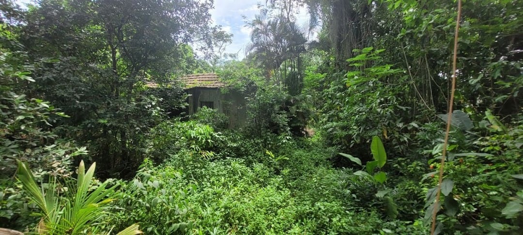 Terreno à venda em Guaratiba, Rio de Janeiro - foto 5