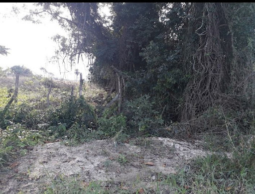Fazenda, sítio ou chácara à venda em Santa Alice, Itaguaí - foto 5