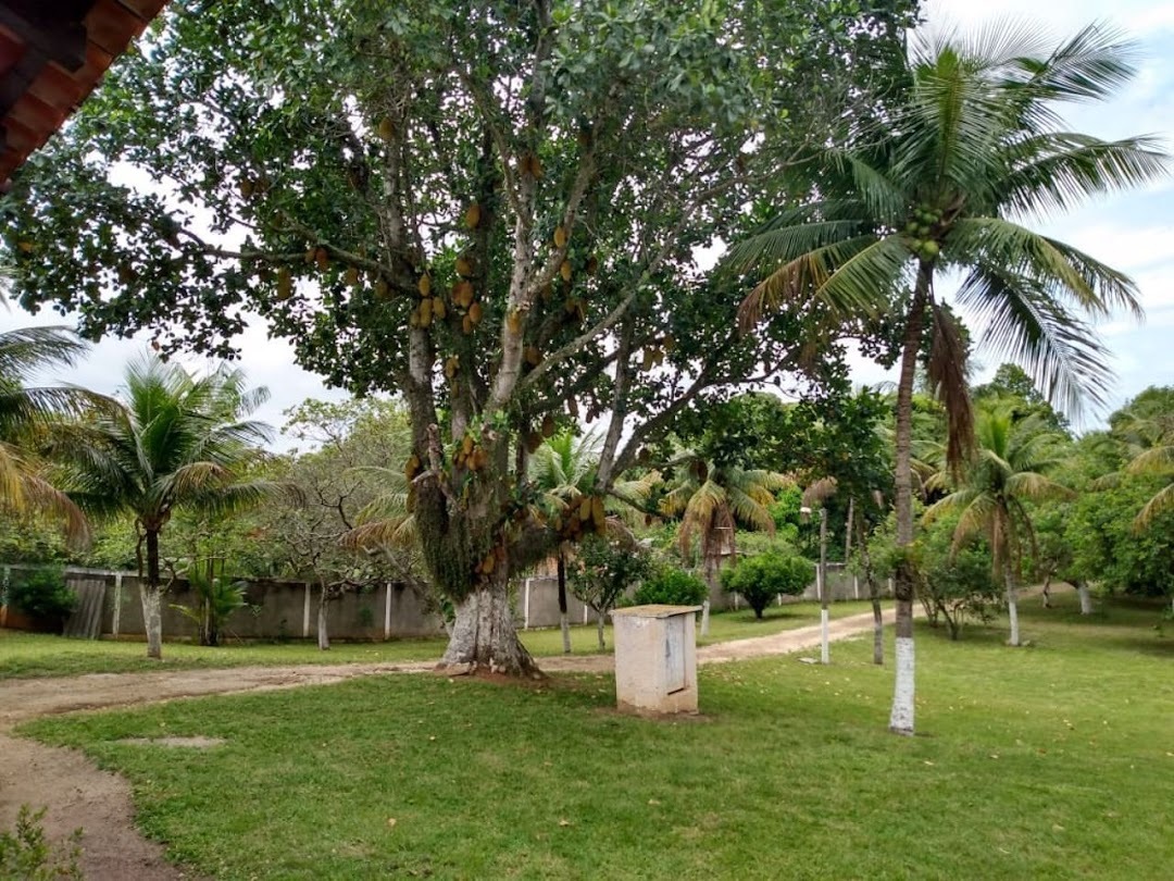 Fazenda, sítio ou chácara 3 quartos à venda em Santa Cruz, Rio de Janeiro - foto 6
