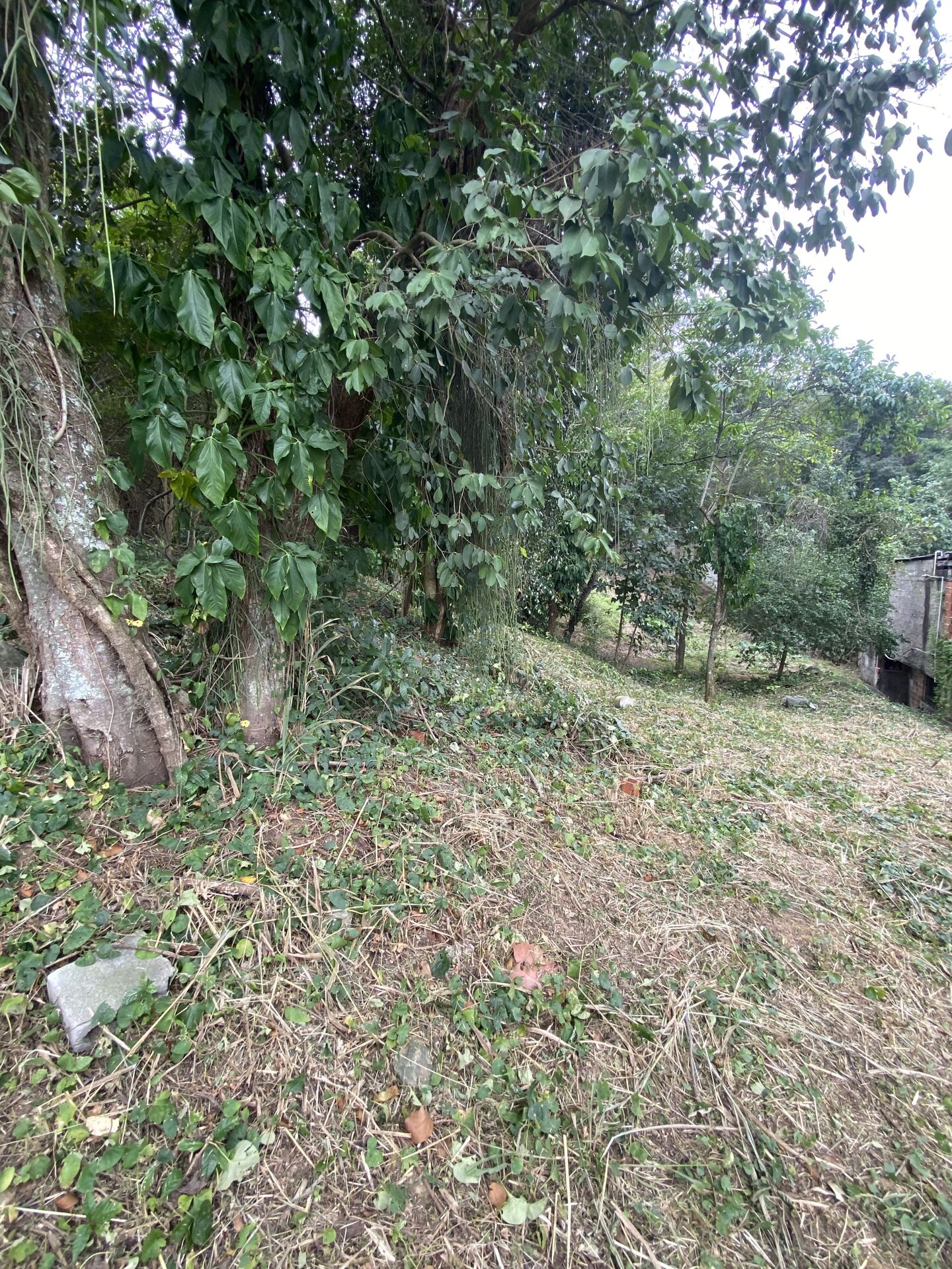 Terreno em condomínio à venda em Campo Grande, Rio de Janeiro - foto 6