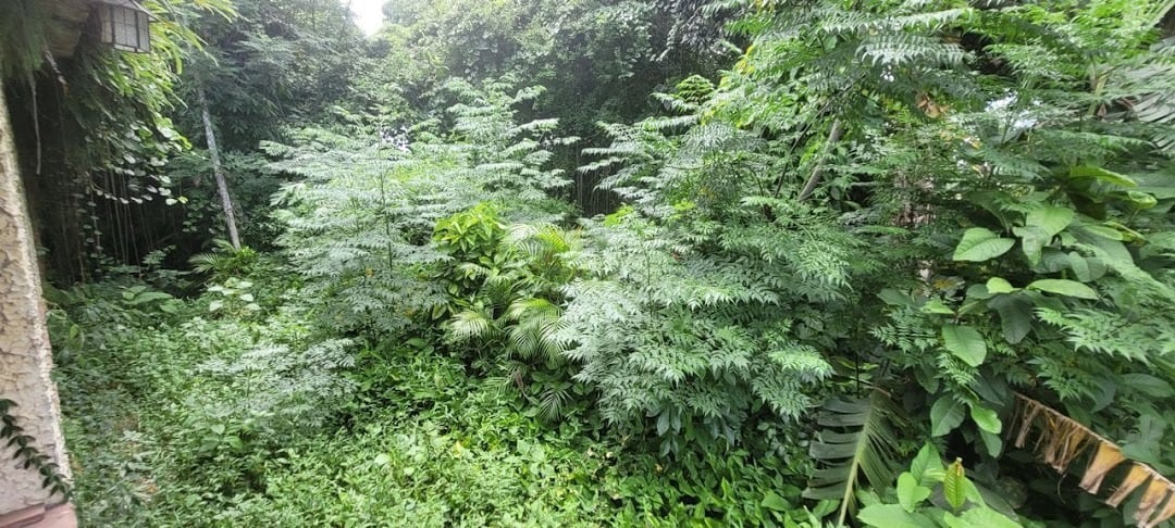 Terreno à venda em Guaratiba, Rio de Janeiro - foto 8