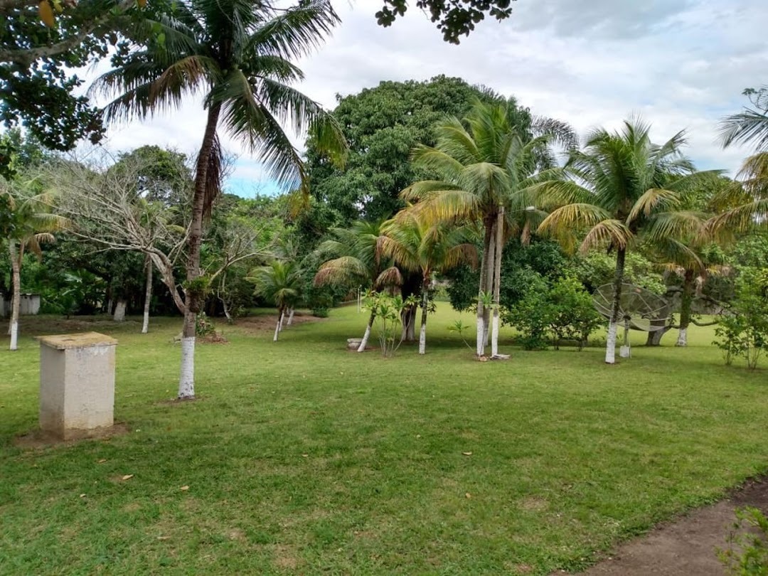 Fazenda, sítio ou chácara 3 quartos à venda em Santa Cruz, Rio de Janeiro - foto 8