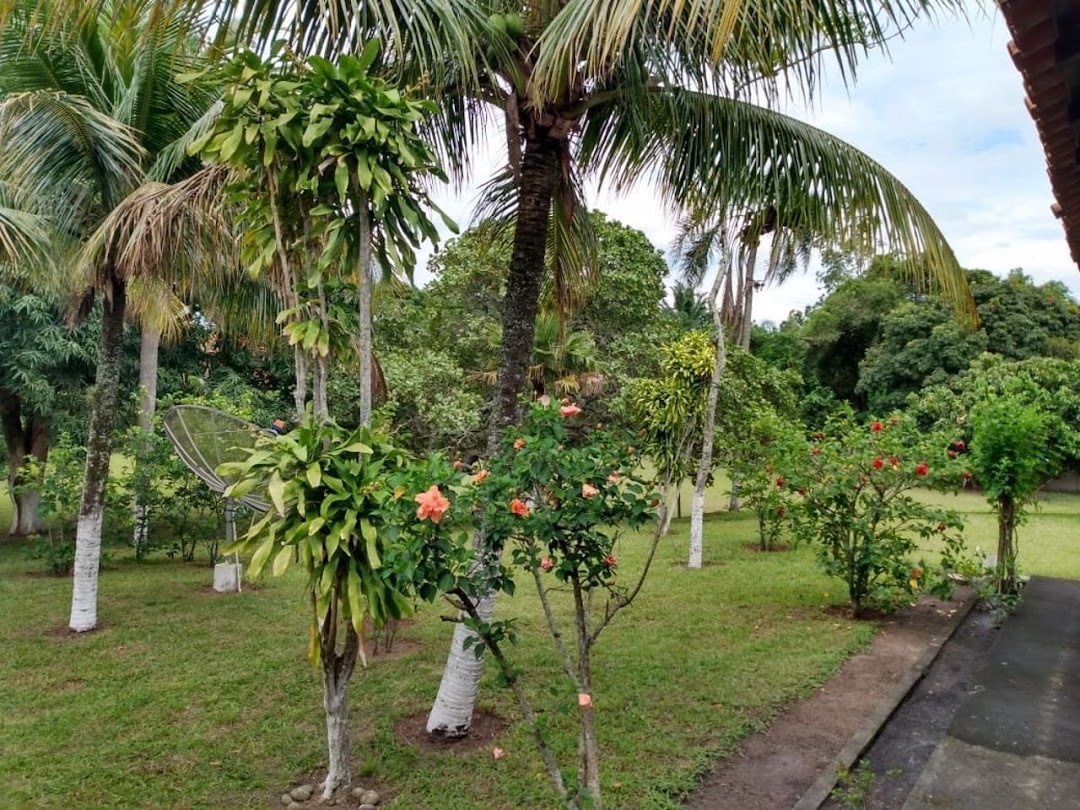 Fazenda, sítio ou chácara 3 quartos à venda em Santa Cruz, Rio de Janeiro - foto 9