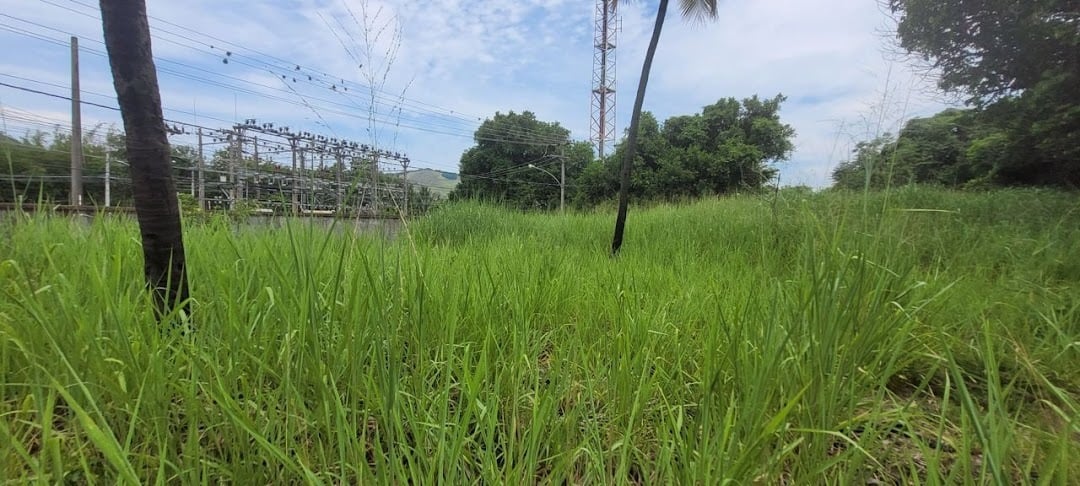 Terreno à venda em Guaratiba, Rio de Janeiro - foto 9
