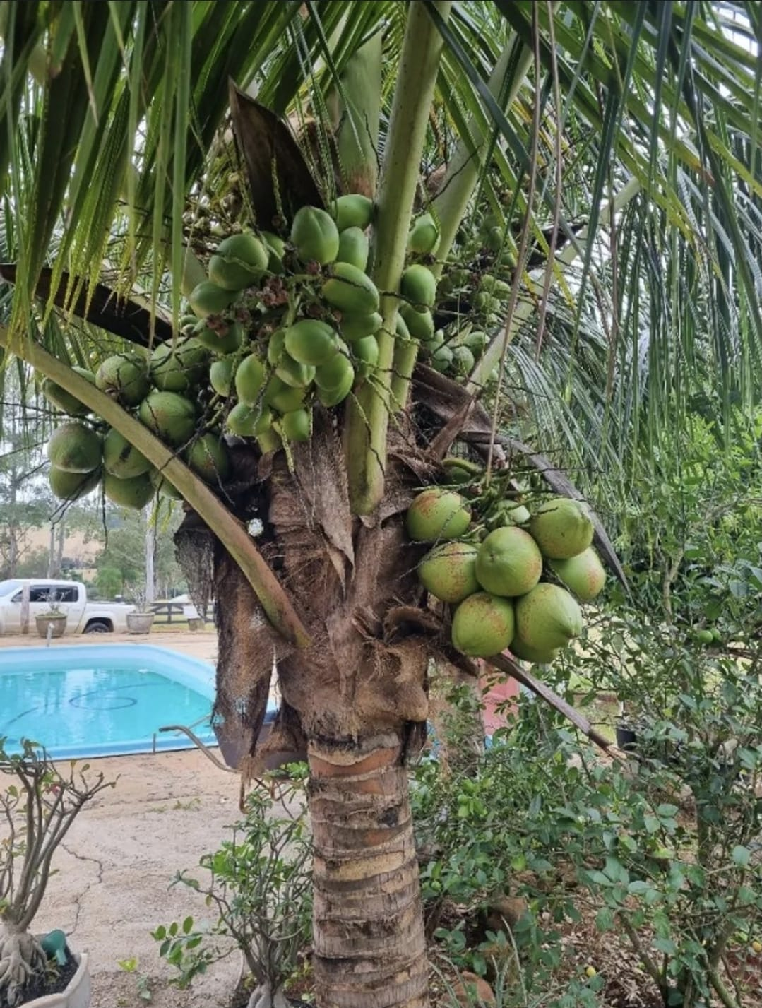 Imagens do imóveis CHACARA A VENDA - SERTANÓPOLIS