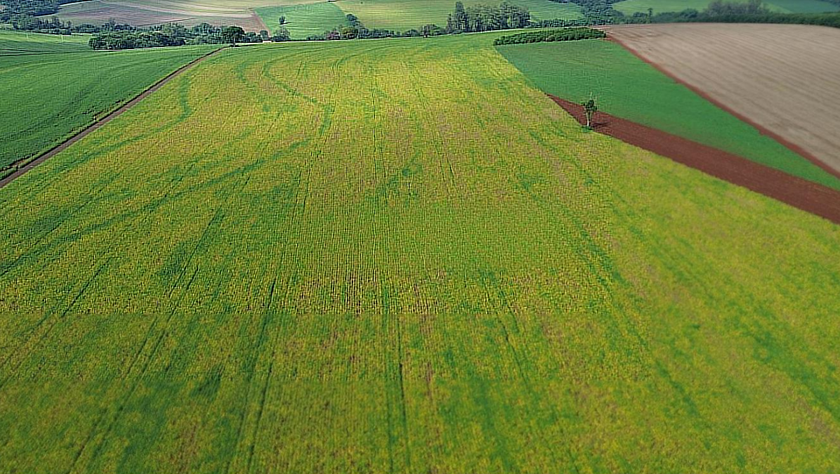 Imagens do imóveis SITIO A VENDA - REGIÃO DA BRATISLAVA