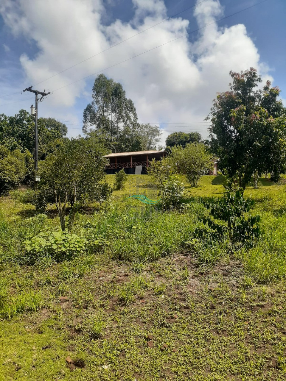 CHACARA A VENDA - LIMOEIRO Imagens do imóveis CHACARA A VENDA - LIMOEIRO