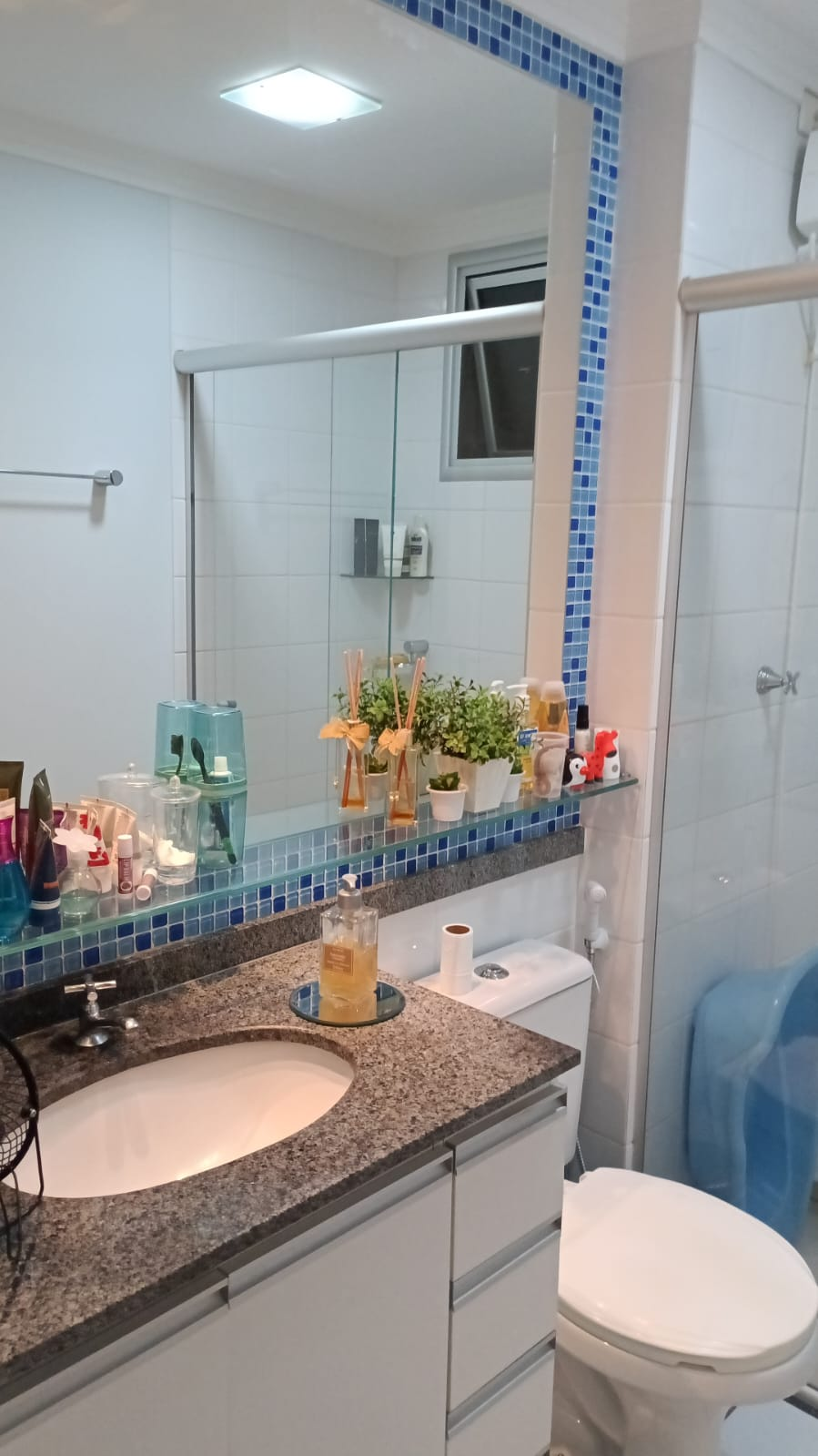 Imagens do imóveis APARTAMENTO A VENDA - EDIFICIO GARDEN ARAUCARIA