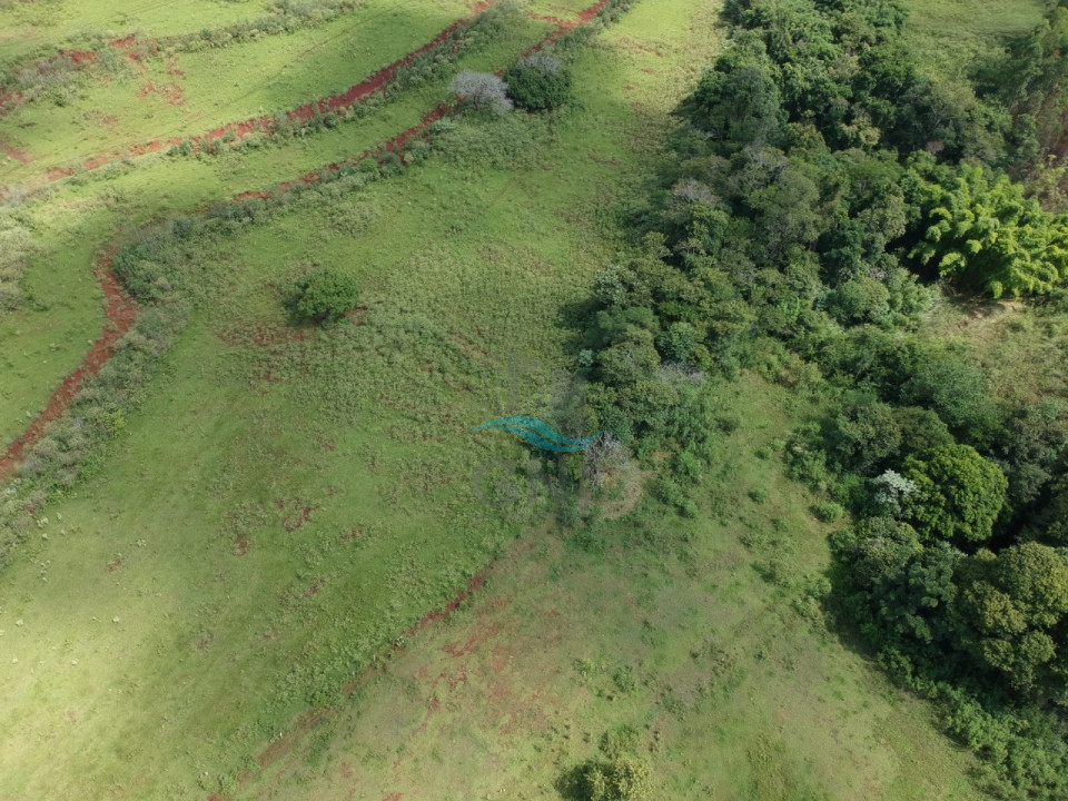 CHACARA A VENDA - LIMOEIRO Imagens do imóveis CHACARA A VENDA - LIMOEIRO