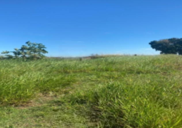 Imagens do imóveis ÁREA A VENDA - ROLÂNDIA