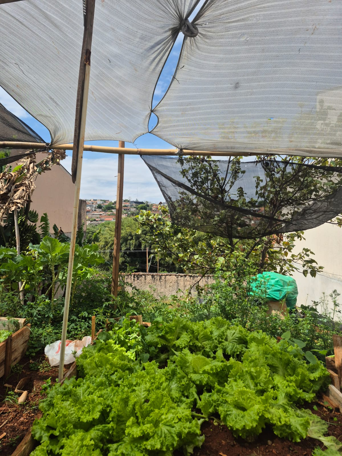 Imagens do imóveis TERRENO A VENDA - JARDIM COLINAS