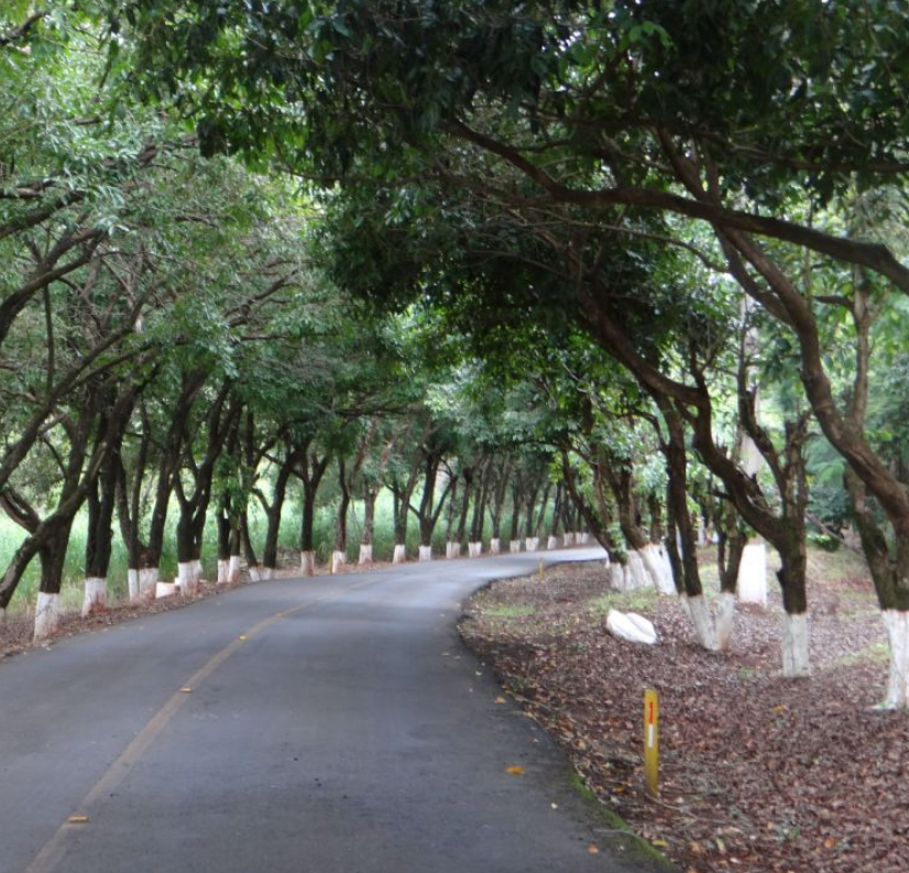 CASA A VENDA - CONDOMINIO RIVIERA DO POENTE Imagens do imóveis CASA A VENDA - CONDOMINIO RIVIERA DO POENTE