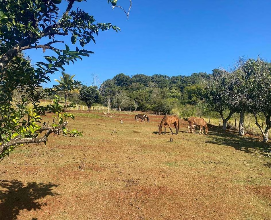 CHACARA A VENDA - PATRIMONIO REGINA Imagens do imóveis CHACARA A VENDA - PATRIMONIO REGINA