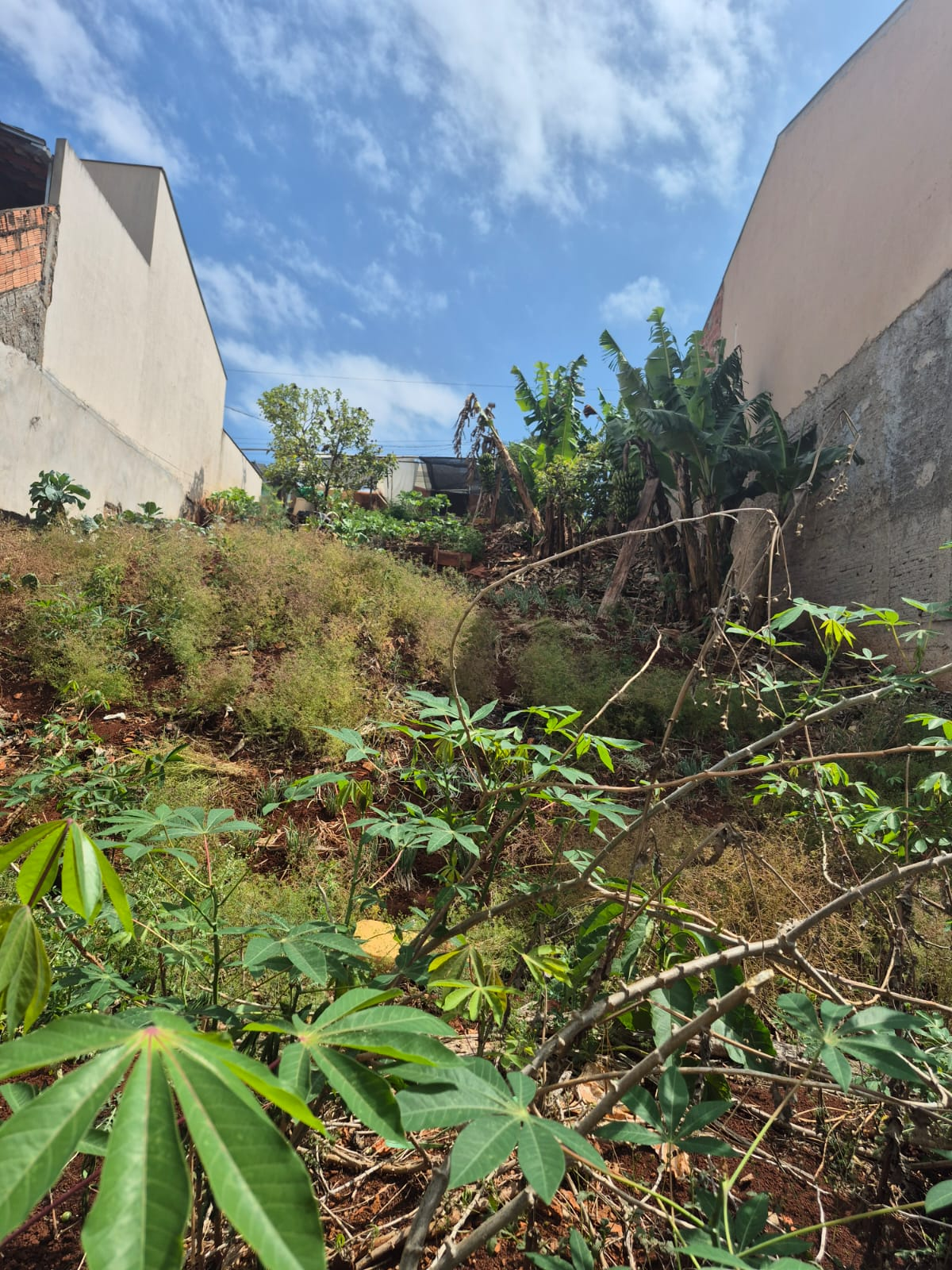 Imagens do imóveis TERRENO A VENDA - JARDIM COLINAS