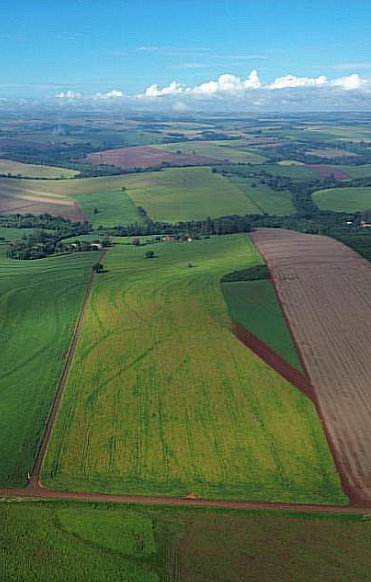Imagens do imóveis SITIO A VENDA - REGIÃO DA BRATISLAVA