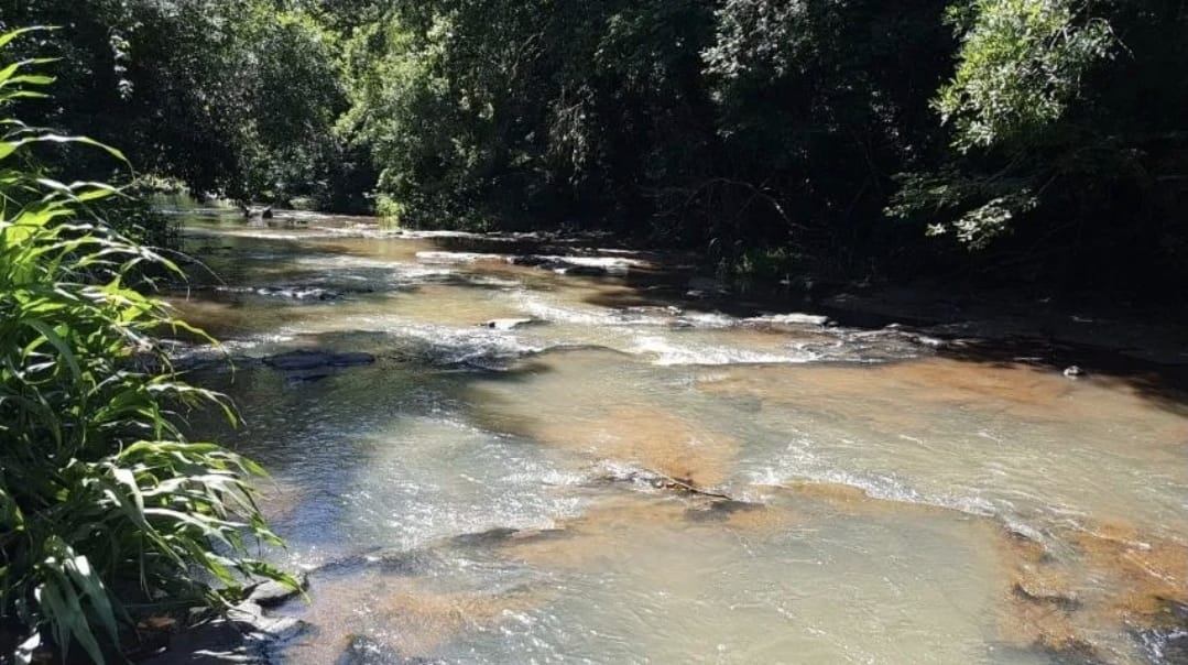 Imagens do imóveis CHACARA A VENDA - SERTANÓPOLIS