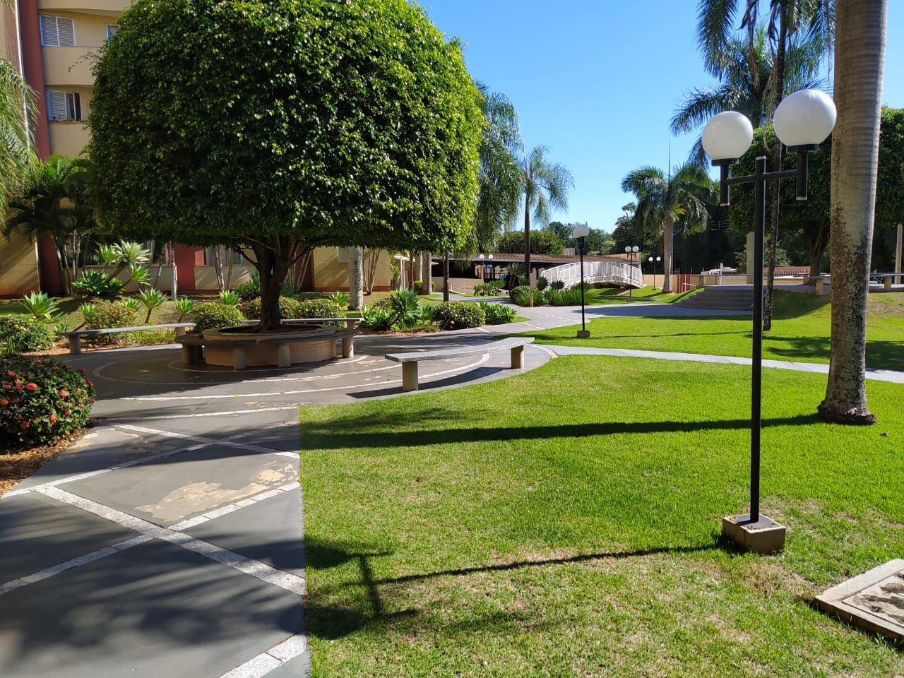 Imagens do imóveis APARTAMENTO A VENDA - EDIFICIO FOREST PARK