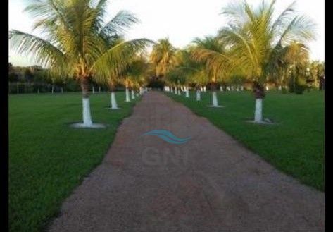 CHACARA A VENDA - PRIMEIRO DE MAIO Imagens do imóveis CHACARA A VENDA - PRIMEIRO DE MAIO