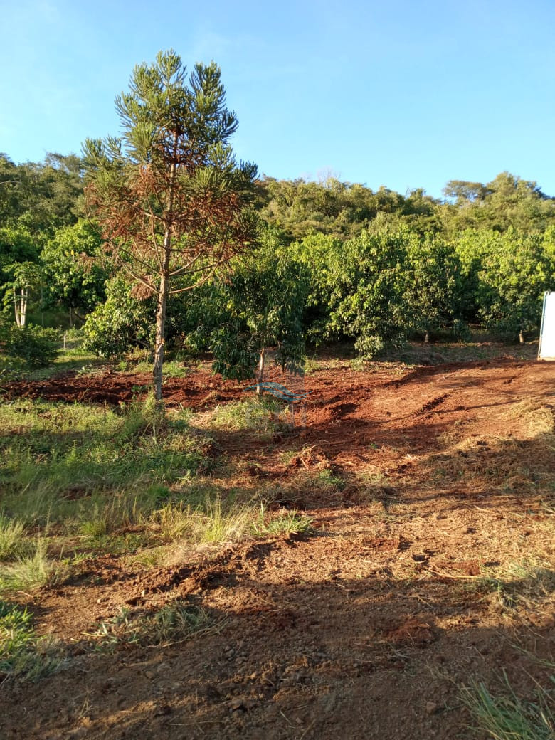 CHACARA A VENDA - DISTRITO DE MARAVILHA Imagens do imóveis CHACARA A VENDA - DISTRITO DE MARAVILHA