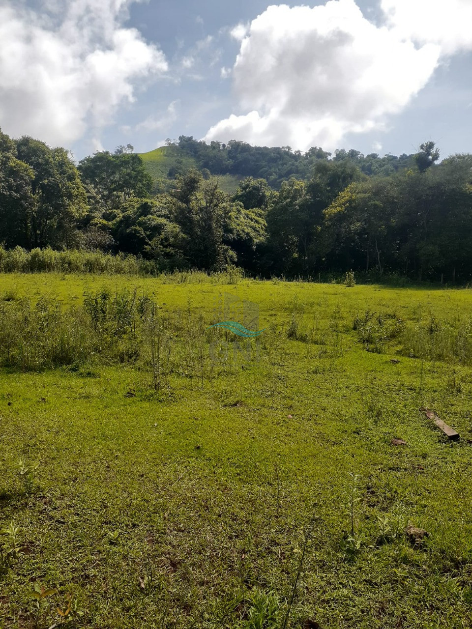CHACARA A VENDA - LIMOEIRO Imagens do imóveis CHACARA A VENDA - LIMOEIRO