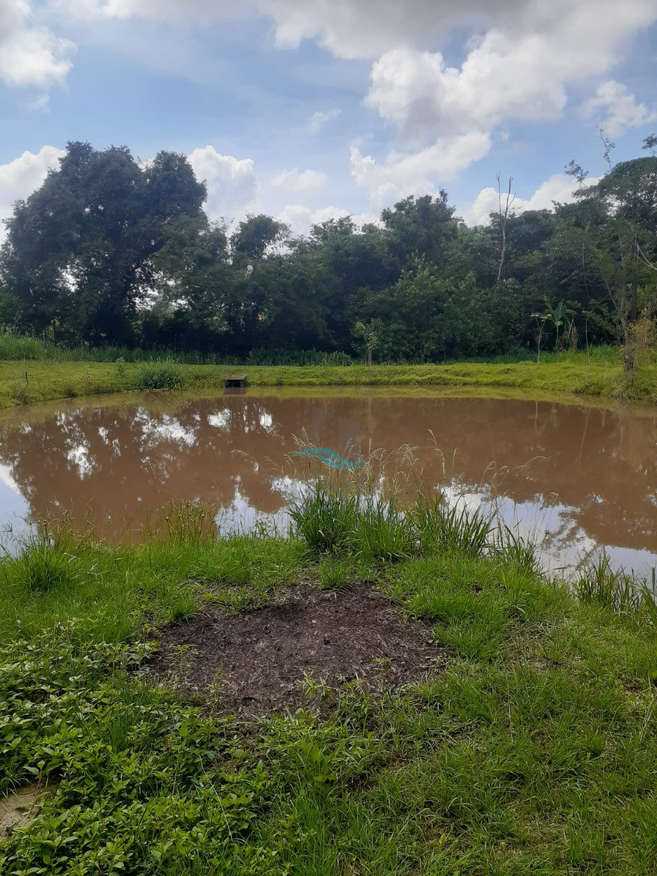 CHACARA A VENDA - LIMOEIRO Imagens do imóveis CHACARA A VENDA - LIMOEIRO