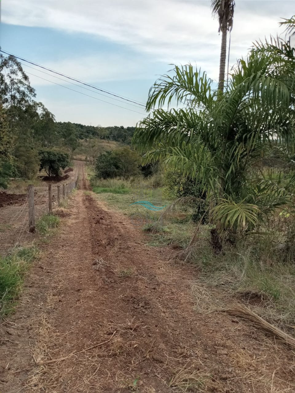 CHACARA A VENDA - DISTRITO DE MARAVILHA Imagens do imóveis CHACARA A VENDA - DISTRITO DE MARAVILHA