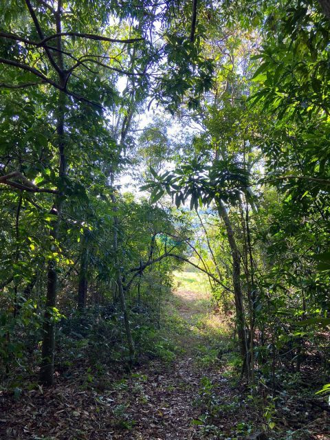 CHACARA A VENDA - ESTRADA DO RESENDE Imagens do imóveis CHACARA A VENDA - ESTRADA DO RESENDE