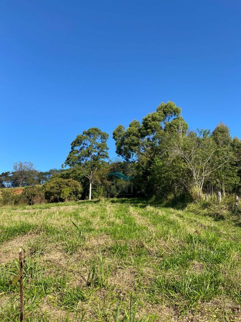 CHACARA A VENDA - ESTRADA DO RESENDE Imagens do imóveis CHACARA A VENDA - ESTRADA DO RESENDE