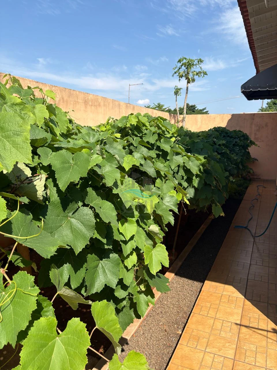 Imagens do imóveis CASA A VENDA -  BAIRRO SANTA LUIZA IBIPORÃ