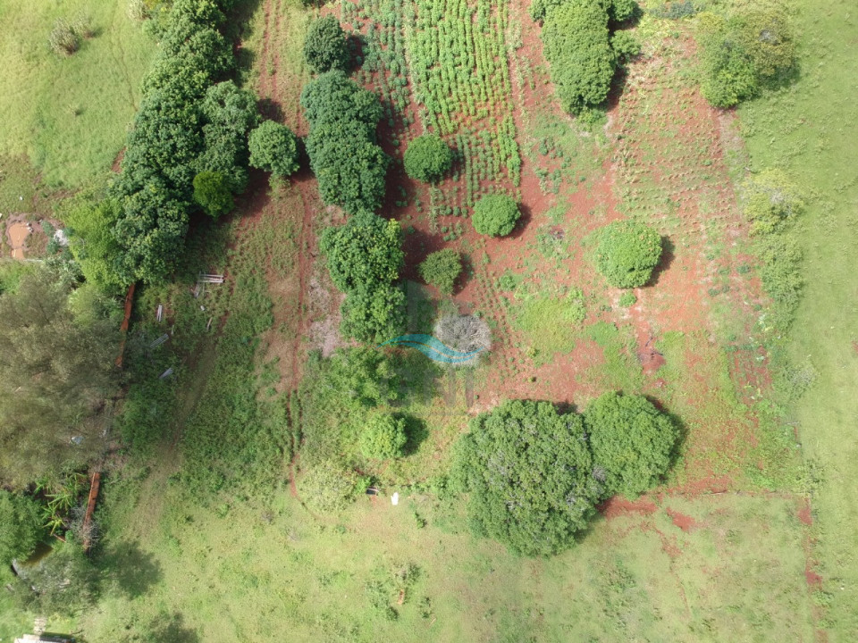 CHACARA A VENDA - LIMOEIRO Imagens do imóveis CHACARA A VENDA - LIMOEIRO