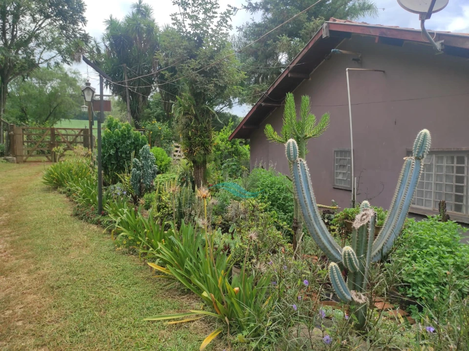 Imagens do imóveis CHACARA A VENDA - PATRIMÔNIO REGINA