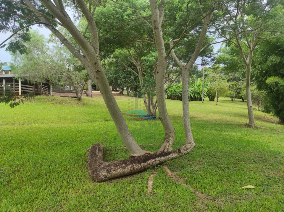 Imagens do imóveis CHACARA A VENDA - PATRIMÔNIO REGINA