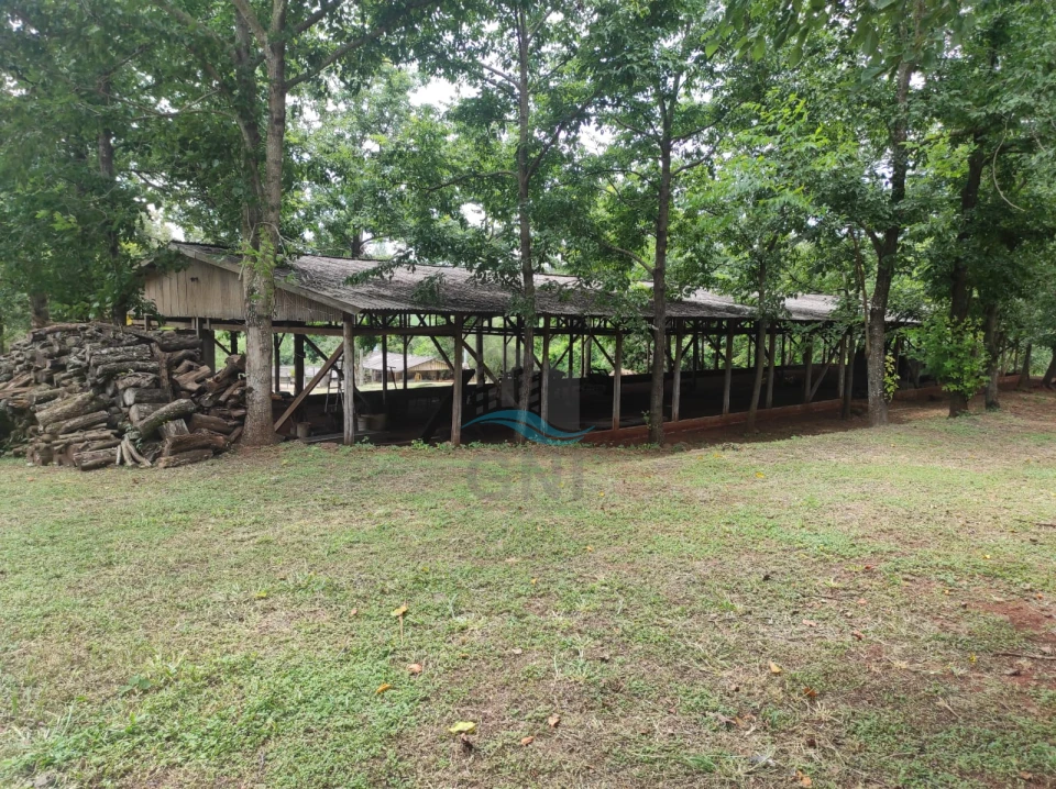 Imagens do imóveis CHACARA A VENDA - PATRIMÔNIO REGINA