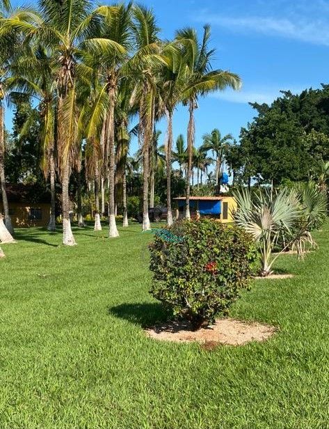 CHACARA A VENDA - PRIMEIRO DE MAIO Imagens do imóveis CHACARA A VENDA - PRIMEIRO DE MAIO