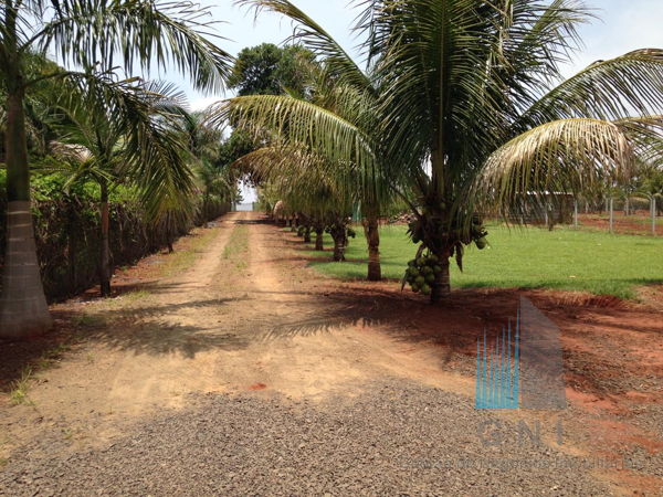 CHACARA A VENDA - ZONA RURAL - PRIMEIRO DE MAIO Imagens do imóveis CHACARA A VENDA - ZONA RURAL - PRIMEIRO DE MAIO