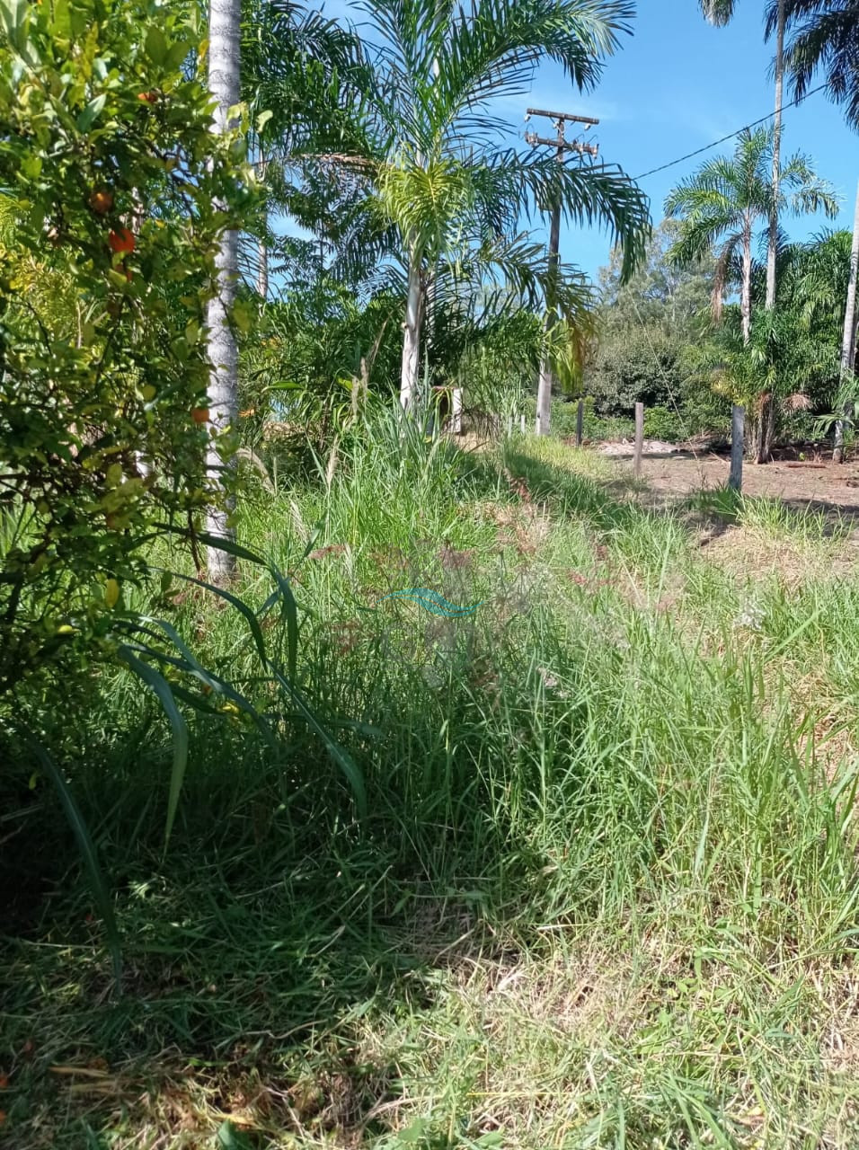 CHACARA A VENDA - DISTRITO DE MARAVILHA Imagens do imóveis CHACARA A VENDA - DISTRITO DE MARAVILHA