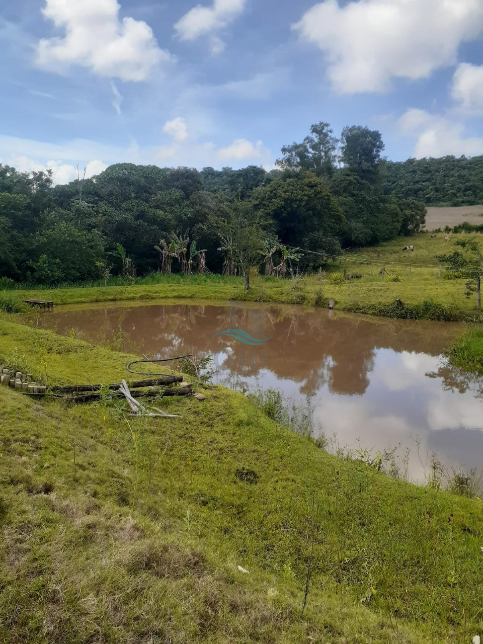 CHACARA A VENDA - LIMOEIRO Imagens do imóveis CHACARA A VENDA - LIMOEIRO