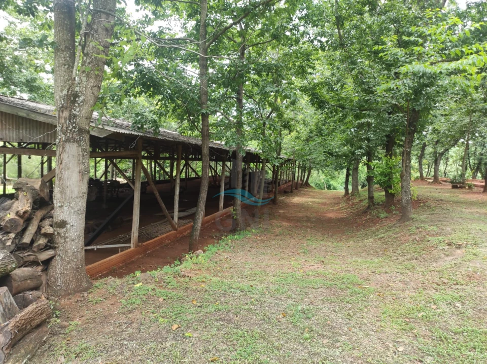 Imagens do imóveis CHACARA A VENDA - PATRIMÔNIO REGINA