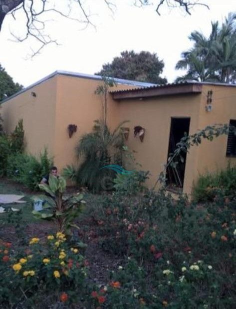 CHACARA A VENDA - PRIMEIRO DE MAIO Imagens do imóveis CHACARA A VENDA - PRIMEIRO DE MAIO