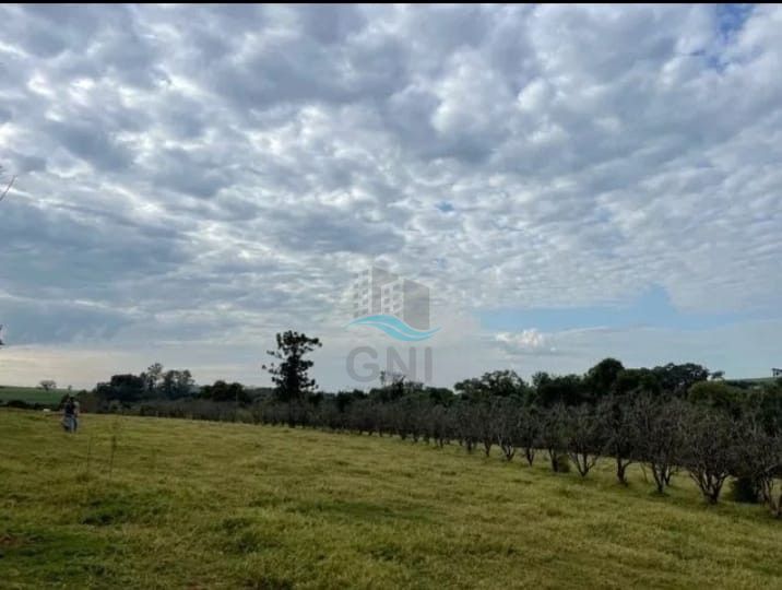 HARAS A VENDA - ROLANDIA Imagens do imóveis HARAS A VENDA - ROLANDIA