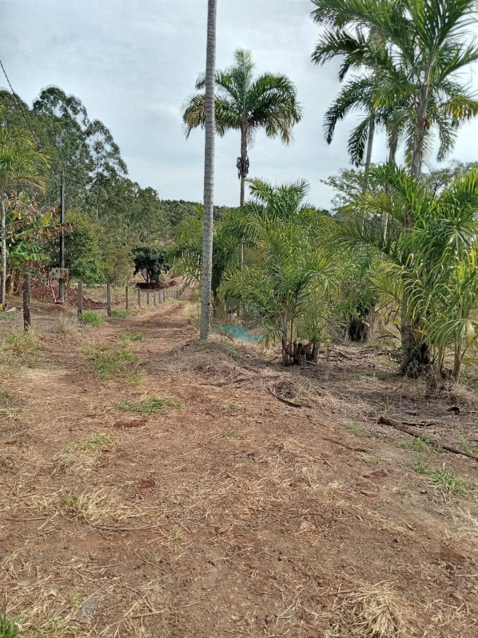 CHACARA A VENDA - DISTRITO DE MARAVILHA Imagens do imóveis CHACARA A VENDA - DISTRITO DE MARAVILHA